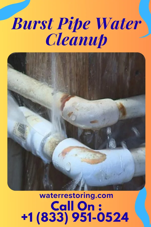 Burst Pipe Water Cleanup in Eastover, NC